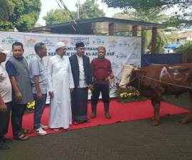 Peningkatan Jumlah Hewan Kurban di Al-Azhar BSD: Edukasi Nilai Qurban Sejak Dini Lewat Tabungan Siswa